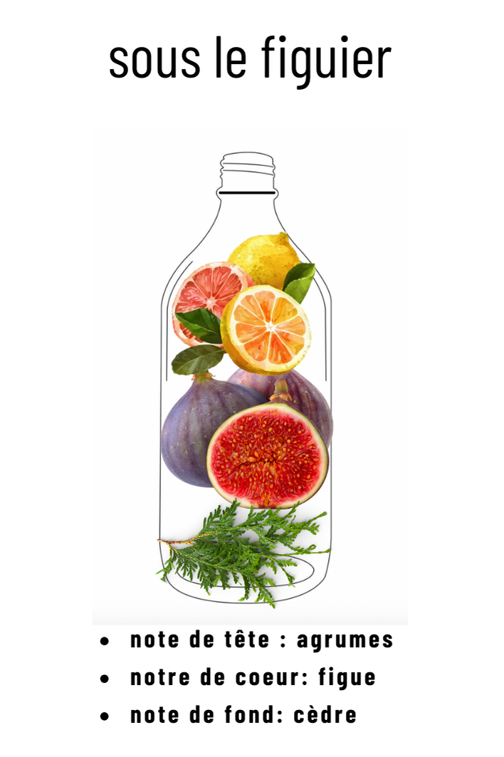 Parfum sous le figuier