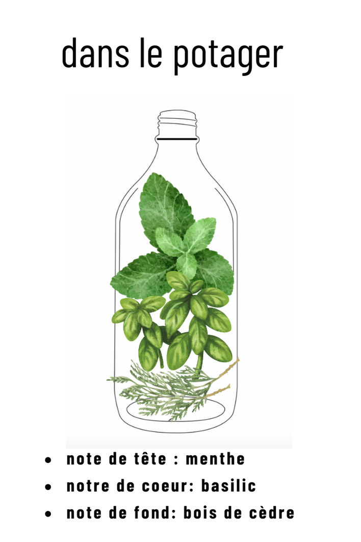 Parfum dans le potager