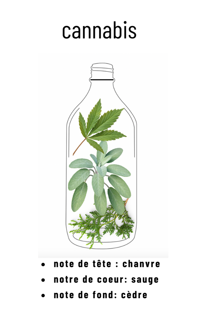 Recharge parfum cannabis