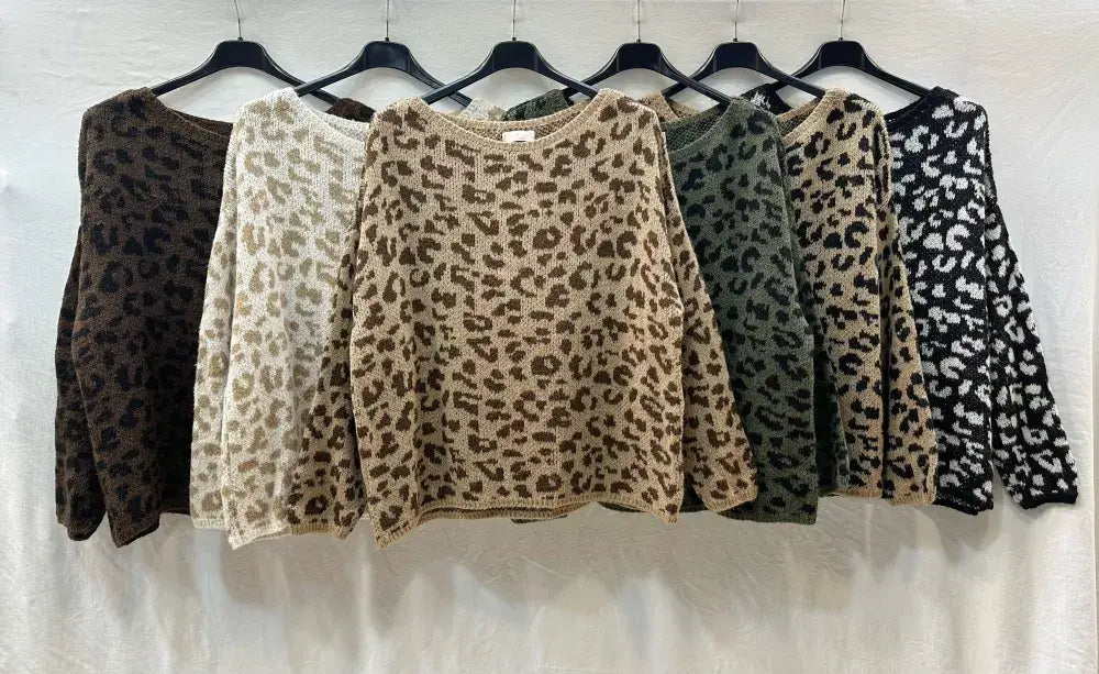 Pull Léopard @35737_PulLeo