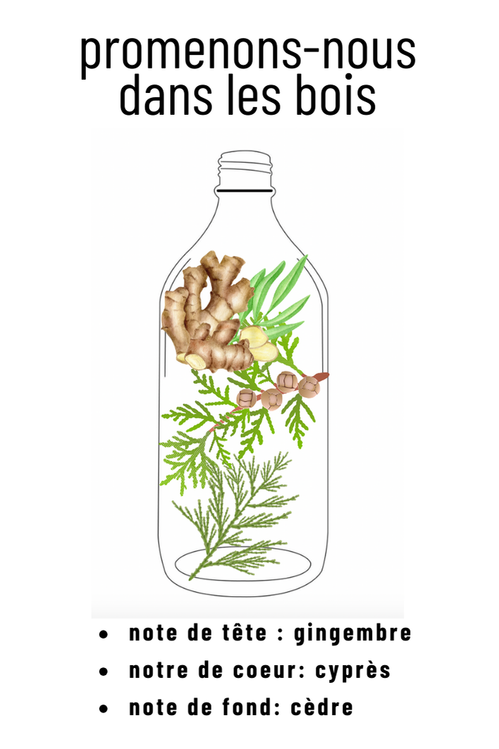 Recharge parfum promenons-nous dans les bois