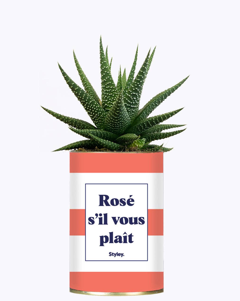 Rosé S'il Vous Plait - Cactus