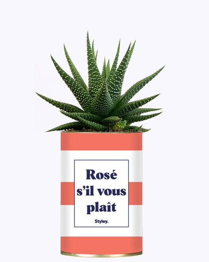 Rosé S'il Vous Plait - Cactus