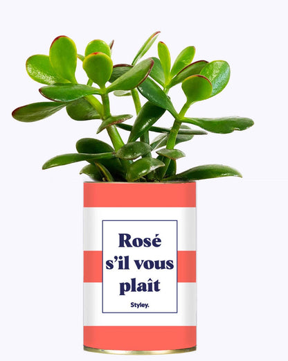 Rosé S'il Vous Plait - Cactus