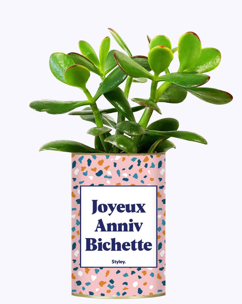Joyeux Anniv Bichette - Plante