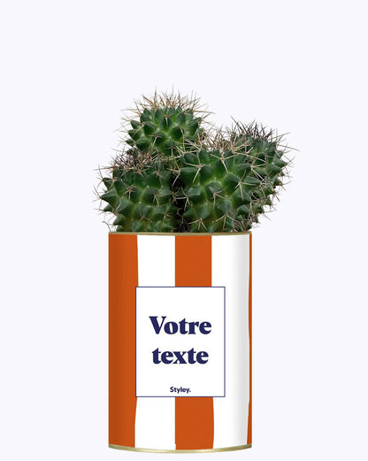 Rayures Terracotta - Plante Personnalisable