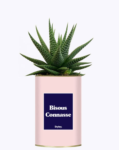 Bisous Connasse - Cactus