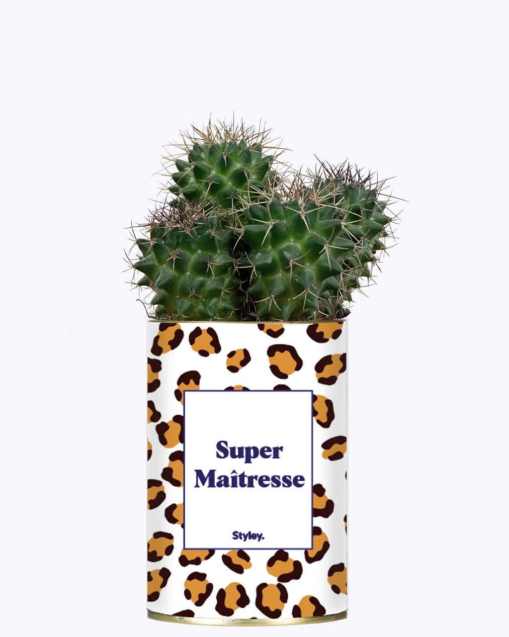 Super Maîtresse - Cactus