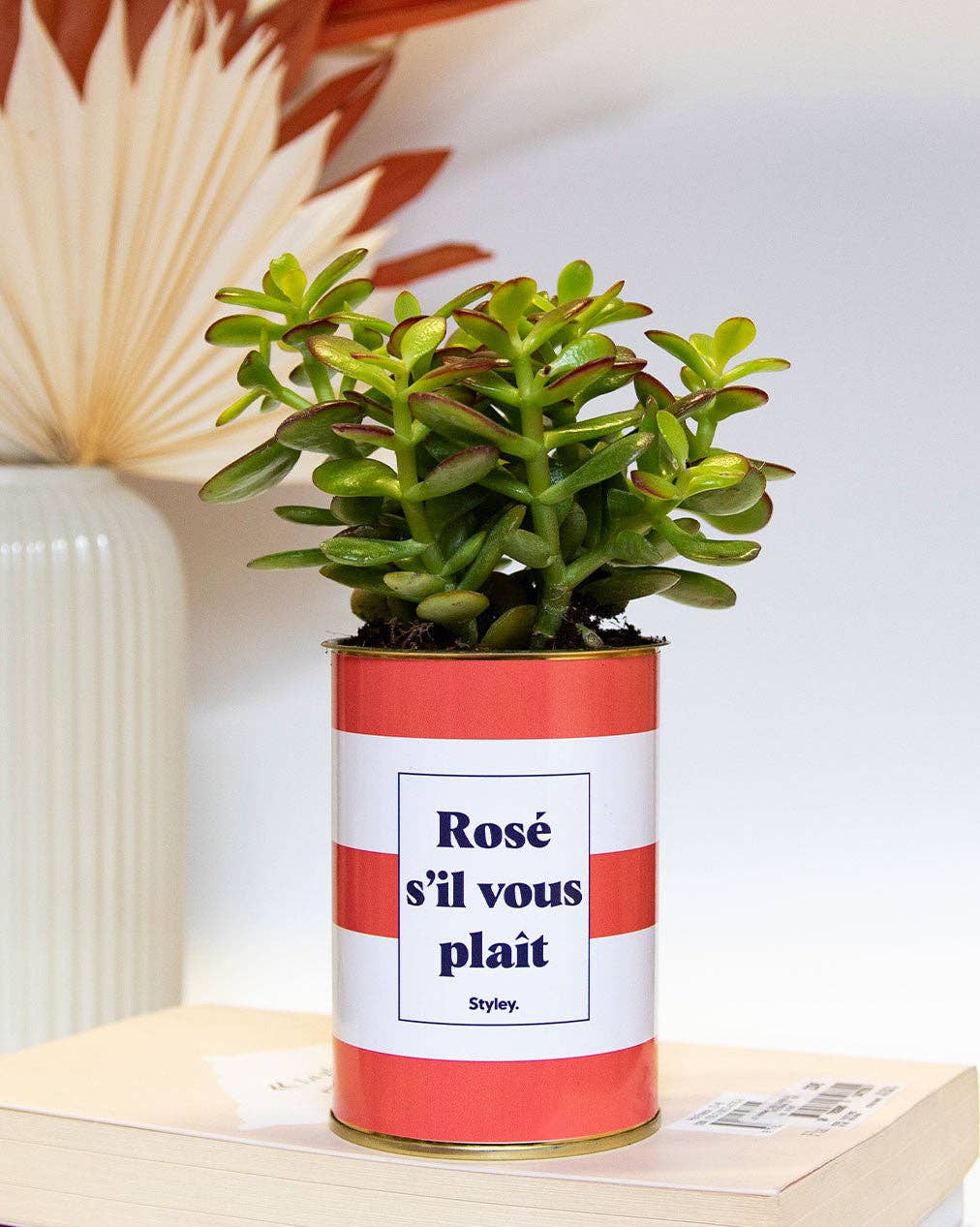 Rosé S'il Vous Plait - Cactus