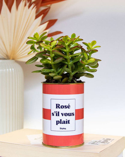 Rosé S'il Vous Plait - Cactus