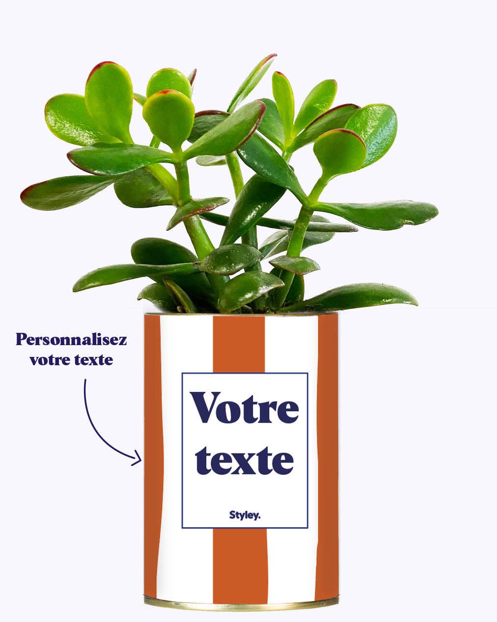 Rayures Terracotta - Plante Personnalisable