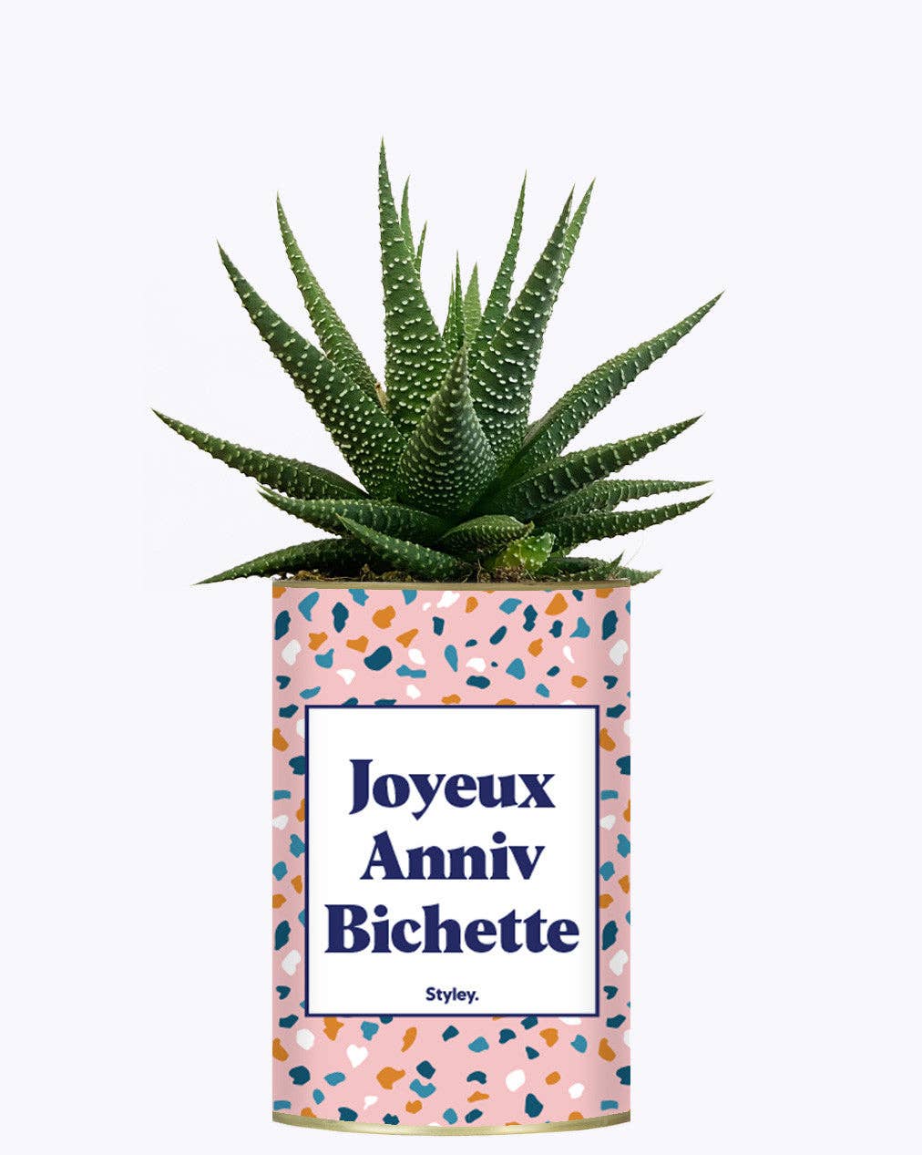 Joyeux Anniv Bichette - Plante