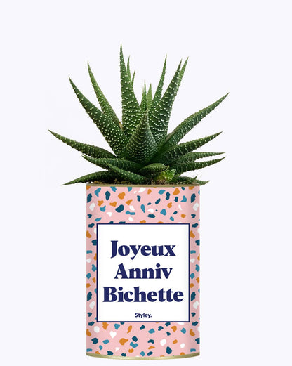 Joyeux Anniv Bichette - Plante