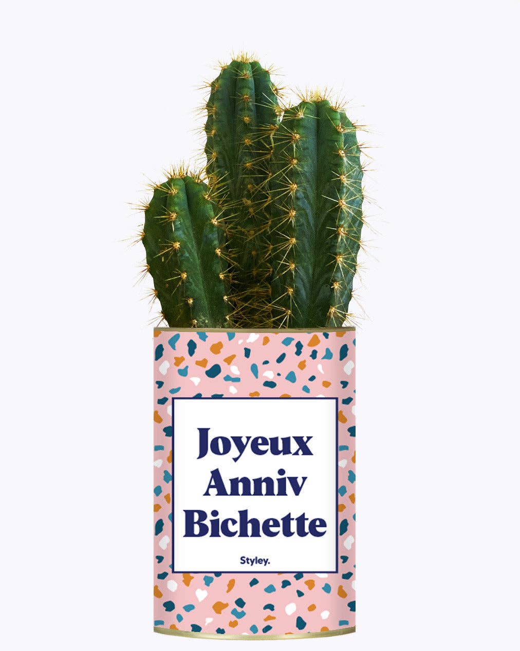 Joyeux Anniv Bichette - Plante