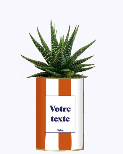Rayures Terracotta - Plante Personnalisable