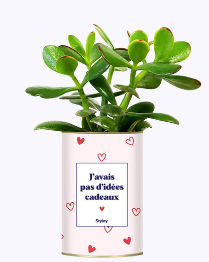 Cadeau De Saint Valentin - Cactus